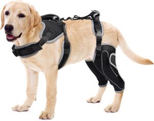 Dog Knee Brace for Torn ACL Recovery & Luxating Patella - Adjustable Leg Support